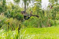 New Orleans, Sumpf Zipline Tour - Hizvo