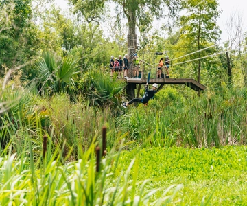 New Orleans: Swamp Zipline Tour