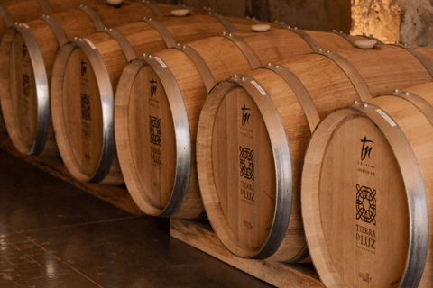 Leon: Tierra de Luz Vineyard Tour mit Weinverkostung