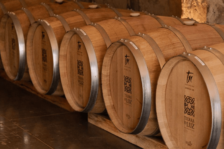 Leon: Tierra de Luz Vineyard Tour with Wine Tasting