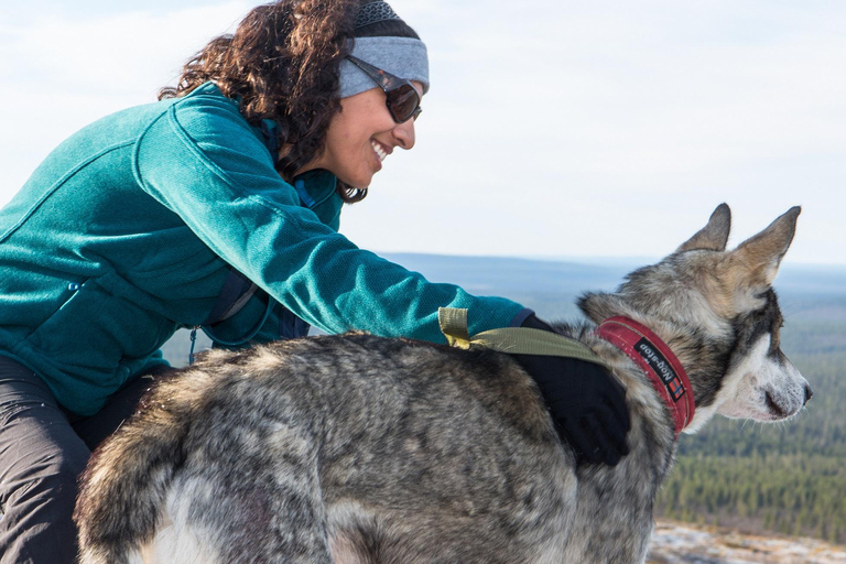 Rovaniemi: Santa Claus Village + Husky &amp; Reindeer Sled Ride