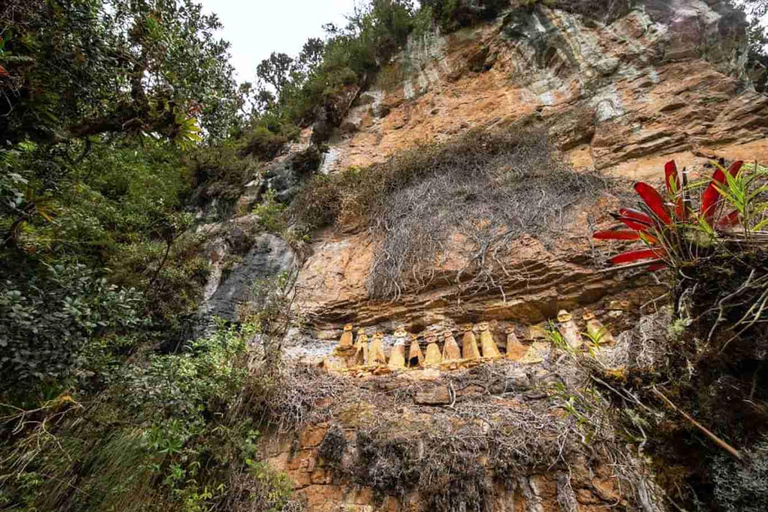 Karajía and Quiocta Cavern Tour from Chachapoyas | Full Day