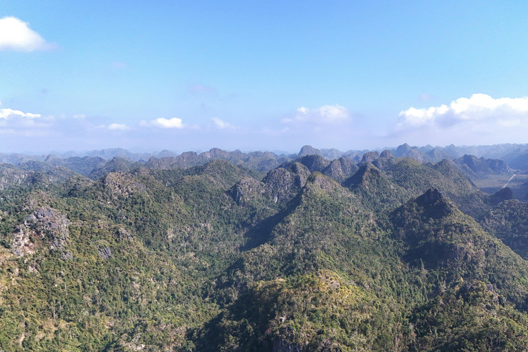 Half Day Hiking to Cat Ba National Park with a Guide