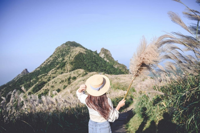 Four-Day In-Depth Tour of Northern Taiwan