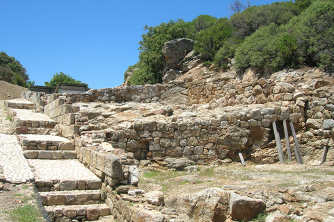 Thessaloniki: Halkidiki Wine Tour with Aristotle's Park