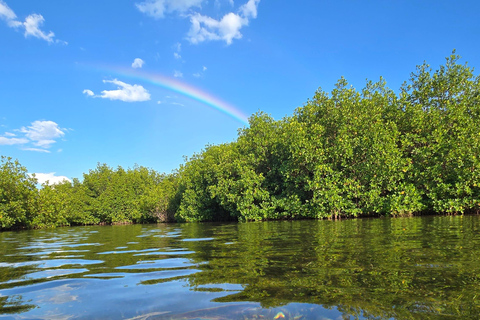 Key West: Private Guided Kayak Tour