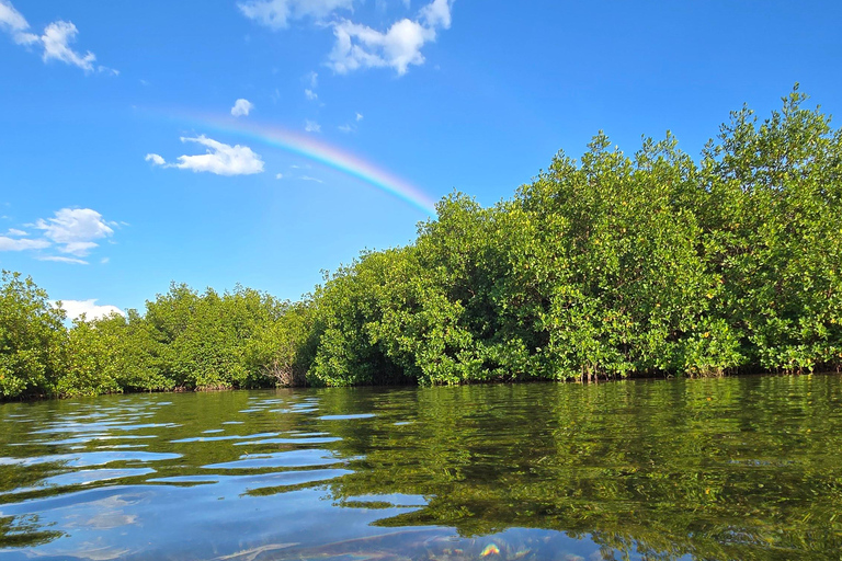 Key West: Privat guidad kajak tur