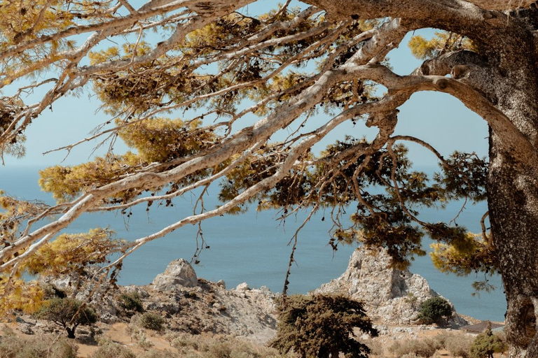 Z Rethymno: Jednodniowa wycieczka na południe Krety