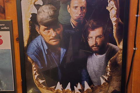 Martha's Vineyard: All Island Tour