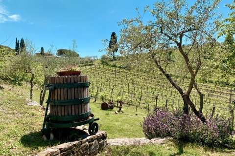 De Florence: visite des vignobles du Chianti avec dégustationVisite des vignobles du Chianti Hills en anglais avec dégustation
