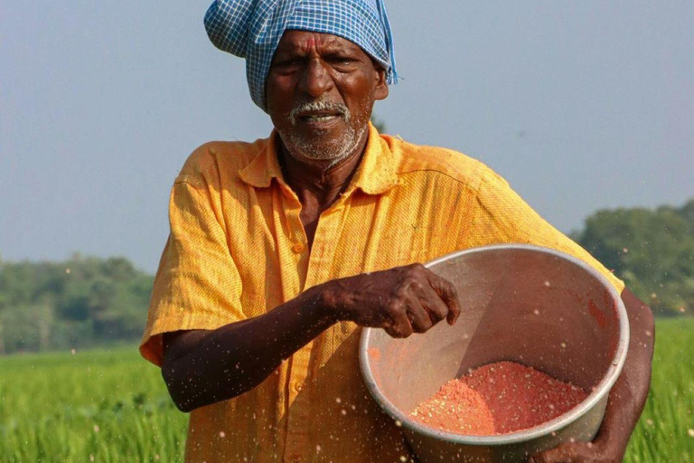 Kochi: Full-Day tour with Temple, Farming & Village Life