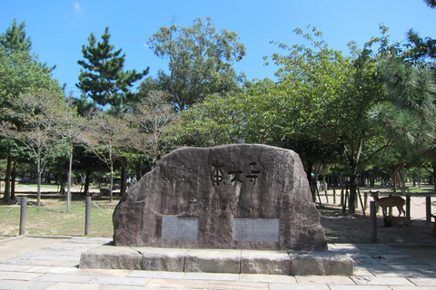 From Osaka: Kyoto and Nara Day Trip