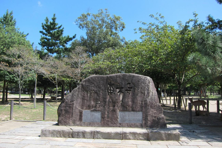 From Osaka: Kyoto and Nara Day Trip