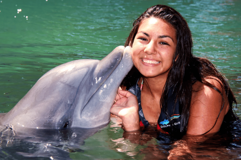 Cancun : Rencontre avec les dauphins