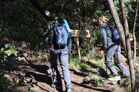 Trekking und Verkostungserlebnis in Viña Alyan