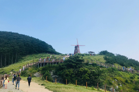 Busan: Gema oculta Geoje y la isla Oedo BotaniaRecorrido compartido desde la salida 1 de la estación KTX de Busan