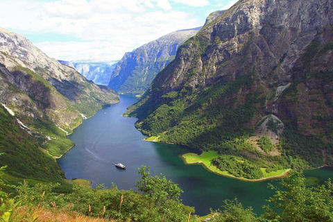 Visite guidée privée de la croisière Nærøyfjord d'Oslo et du chemin de fer de Flåm