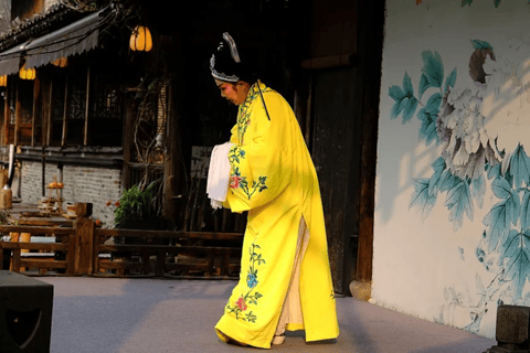 Wuzhen: Private Multilingual Guide Tour & Hotel Pick-Up West Gate Tour: French & German Guide + Hotel Transfer