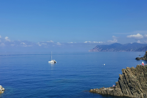 Da Firenze: Tour per piccoli gruppi di un giorno alle Cinque Terre e a Pisa