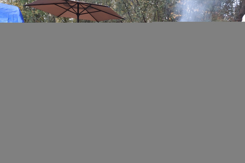 Roast Hotdogs and Marshmallows Alaskan style