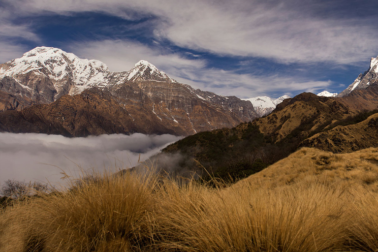 Mardi Himal Trek: 5 Days Mardi Trek From Pokhara