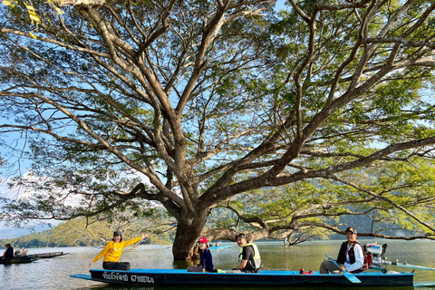 Chiang Mai: Wat Ban Den, Sticky Waterfall, & Rain Tree Tour Giant Rain Tree, Sticky Waterfall, Hiking at Moai Mountain