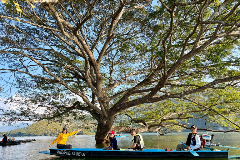 Chiang Mai: Wat Ban Den, Sticky Waterfall, & Rain Tree Tour Giant Rain Tree, Sticky Waterfall, Hiking at Moai Mountain