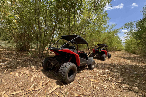 Bamboo Dune Buggy Tour