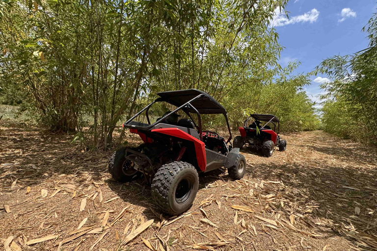 Bamboo Dune Buggy Tour