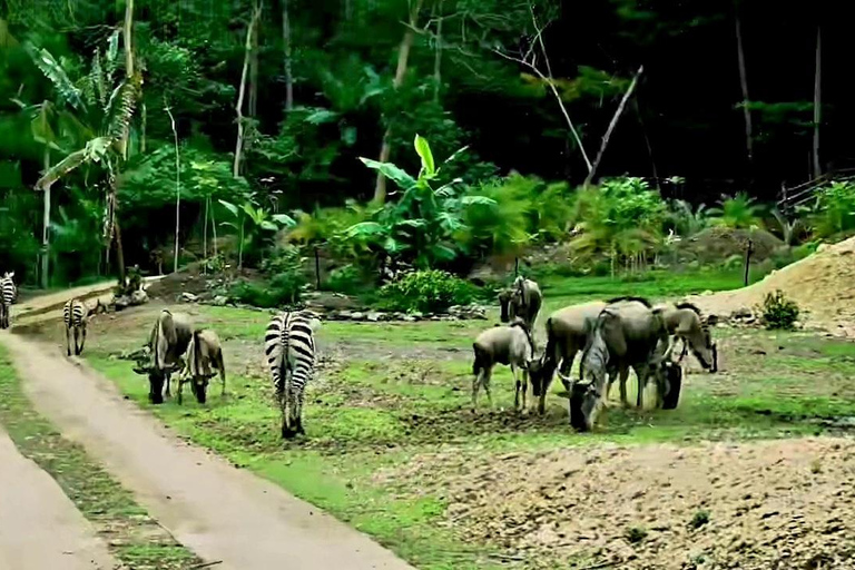 Vanuit Cebu City: Cebu safari avontuur