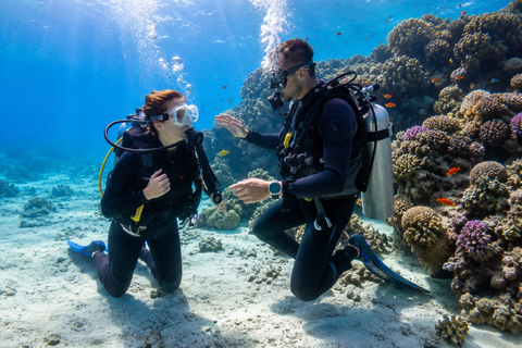 Marsa Alam: Shore Dive Experience w Transfer Beginners: 30 mins