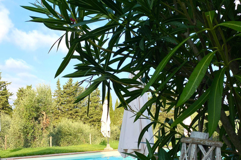 Peccioli: Wine tasting experience