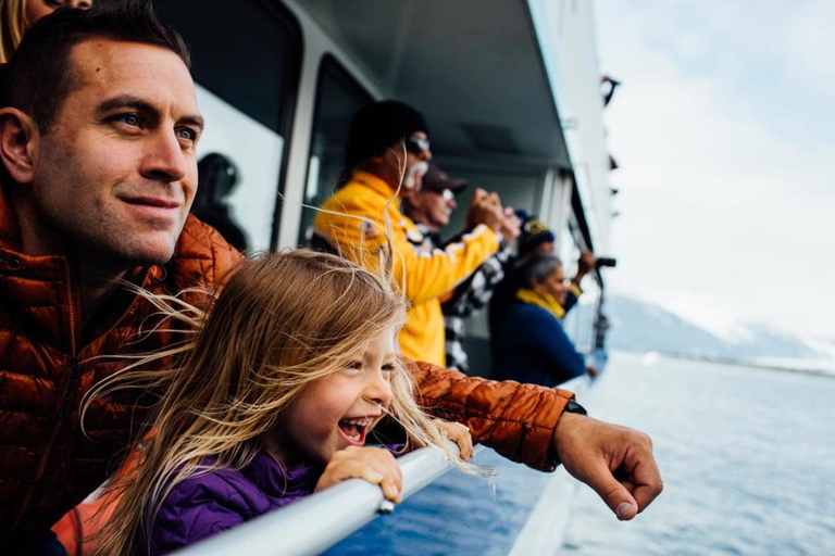 سيوارد رحلة بحرية فيوردز كيناي فيوردز الوطنية في المتنزه الجليدي والحياة البرية