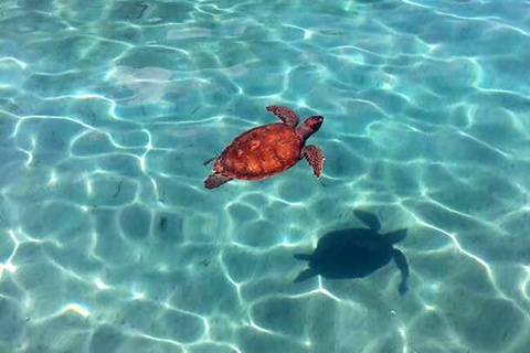 Antalya: Small Group Sunset Suluada Boat Trip Small Group Sunset Suluada Boat Trip with Hotel Pick Up
