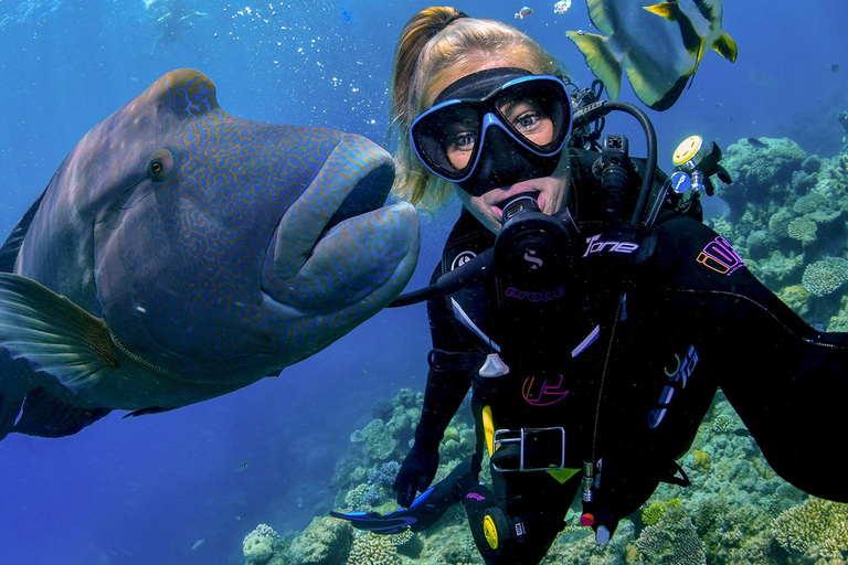 Cairns: Great Barrier Reef Cruise with Gold Class Lounge