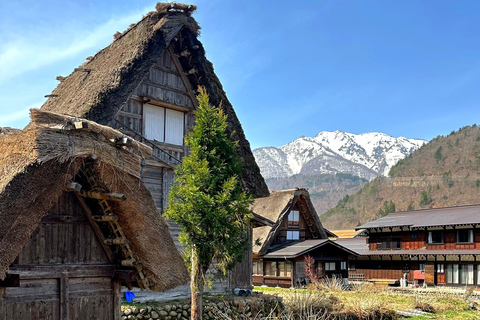 Nagoya: Shirakawa-go & Takayama Guided Day Trip