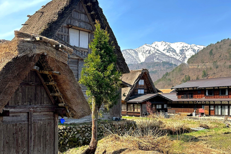 Nagoya: Shirakawa-go & Takayama Guided Day Trip