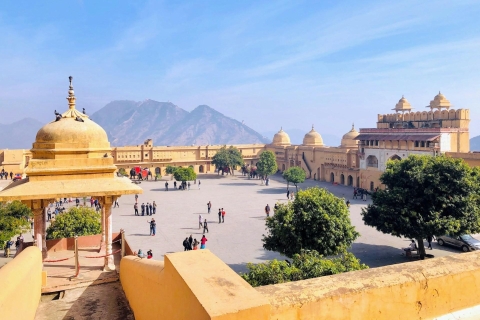 Von Delhi aus: Privater geführter Tagesausflug nach Jaipur mit TransfersPrivate Tour mit Auto, Fahrer, Reiseleiter und Eintrittskarten