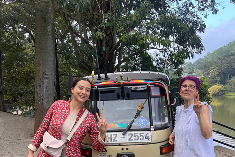 Kandy: Guided City Tour/Temple of the Tooth & Tea Factory
