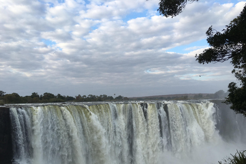 Visite guidée des chutes Victoria