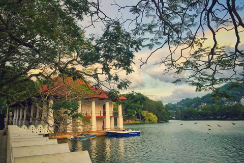Kandy Temple of the Tooth & Tea Factory Day Tour