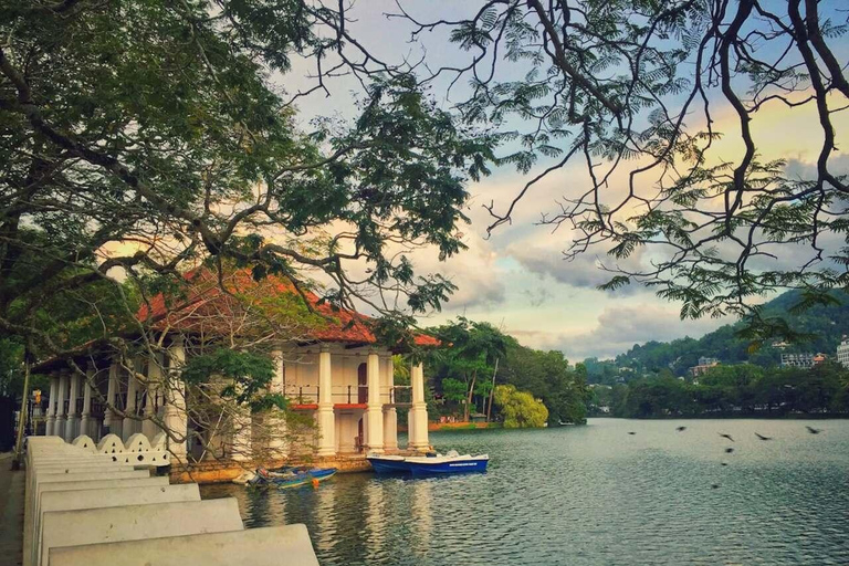 Kandy Temple of the Tooth & Tea Factory Day Tour