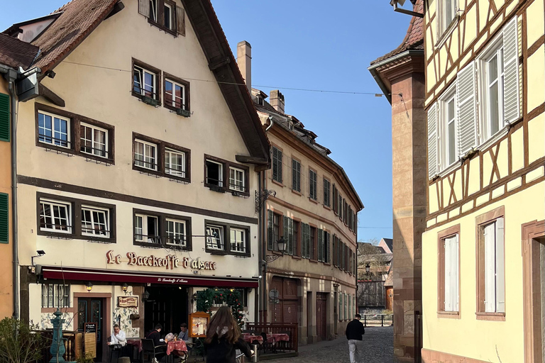 Strasbourg: Bike Tour with Tasting