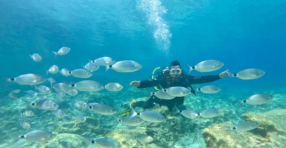 Green Bay Cyprus - Scuba diving - Guided Dive or Try Dive