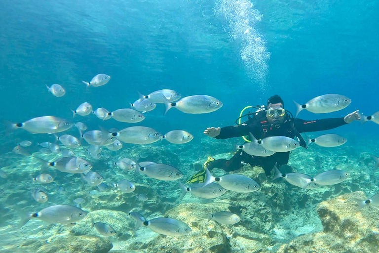 Scuba diving-private and individual– No certification needed