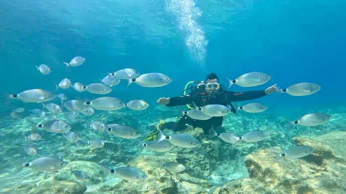 Green Bay Cyprus - Scuba diving - Guided Dive or Try Dive
