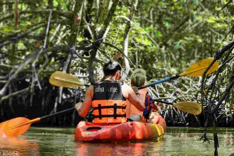 Zanzibar: Dolphin tour with Kendwa Beach.