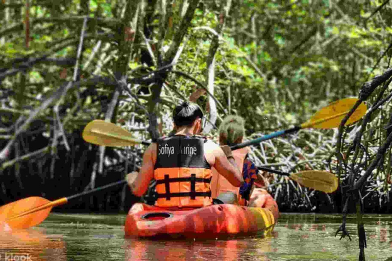 Zanzibar: Dolphin tour with Kendwa Beach.