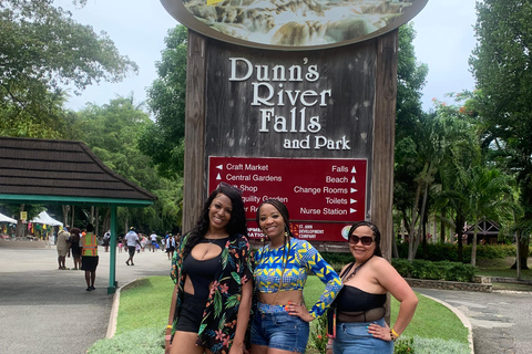 Montego Bay: Dunn's River Falls Private Excursion