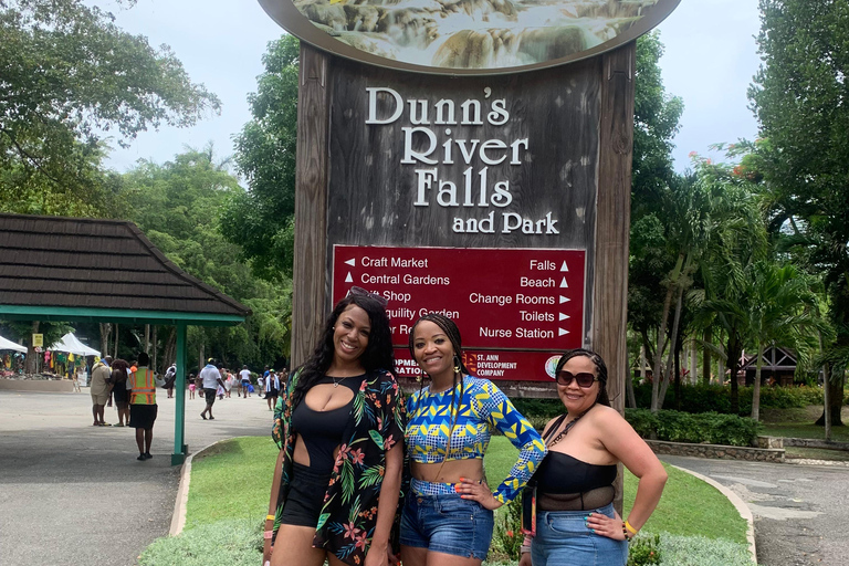 Montego Bay: Dunn's River Falls Private Excursion